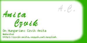 anita czvik business card